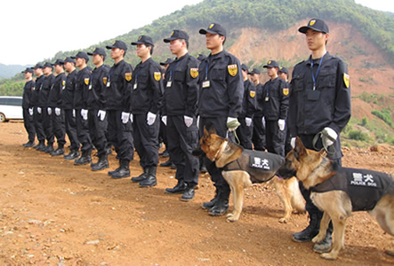 犬防護衛(wèi)隊